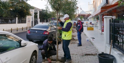 Büyükçekmece'de Yeşil'e Destek