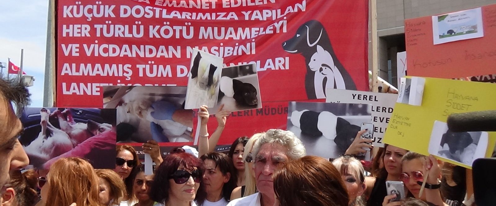 Çağlayan Adliyesi'nde yavru köpek protestosu