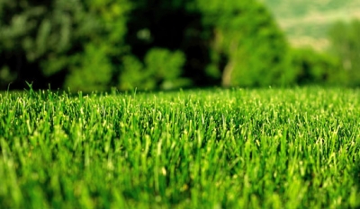 Çevre Etiketi Kriterleri Yayımlandı