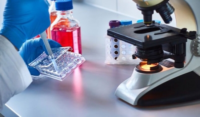 En Fazla Ölüme Neden Olan Hastalık Açıklandı