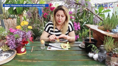 Evde Bitki Yetiştirmenin İncelikleri