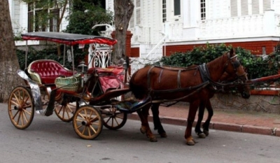 "Faytonlardan İBB Sorumlu"