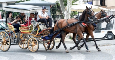 İBB Faytonlarla İlgili Adımı Attı