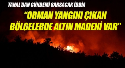 Orman Yangıları için İlginç İddia 