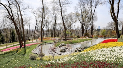 İstanbul Lale ile Buluşacak