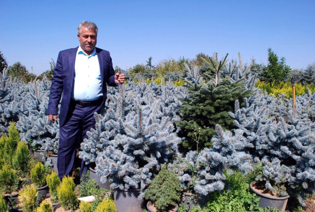 İstanbul Yeni Havalimanını Manisa'nın Fidanları Süsleyecek