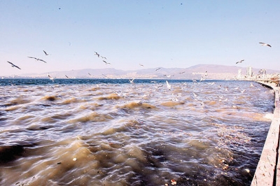 İstanbul'da atıksu doğrudan denize karışıyor