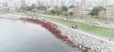 İstanbul'da Caddebostan Sahili kızıla büründü
