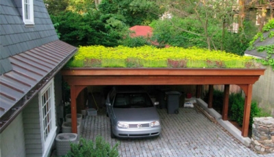 İstanbul'da çatılarda tarım yapılabilecek