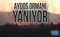 İstanbul'daki Aydos Ormanı'nda yangın