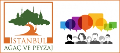 İstanbullular Ağacını Seçecek