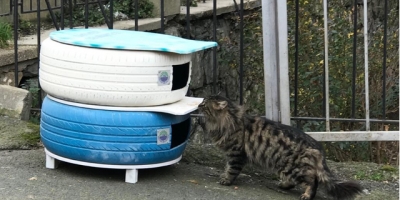 Lastikler Yuvalara Dönüşüyor