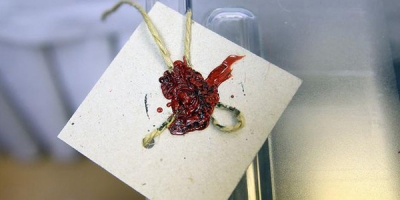 Oyunuzu Kullanırken Bunlara Dikkat!