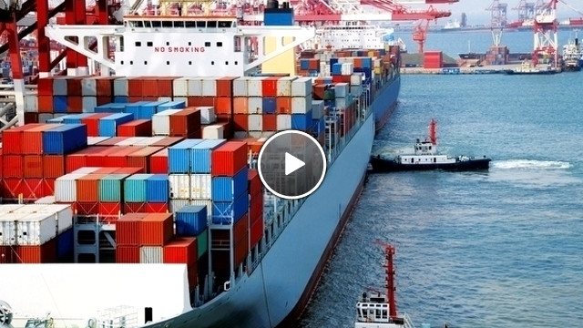 Resmi Gazete'de Yayımlandı! Besicilikte Kullanılan Yem Ham Maddelerinin Gümrük Vergileri Sıfırlandı