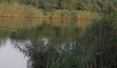 "Riva Can Çekişiyor"