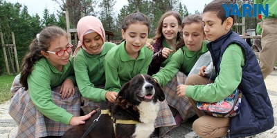"Sahiplenme Yerine Bakımını Üstlen"