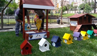 Sokak Hayvanlarını Unutmadılar