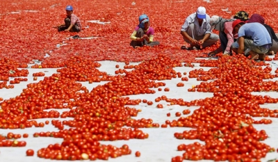 Tarım-ÜFE Açıklandı