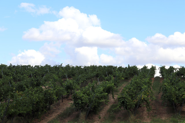 Türkiye'nin Yeni Toskanası:Trakya!