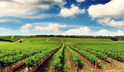 Uluslararası Tarım Sigortacıları Birliği Kongresi Türkiye'de