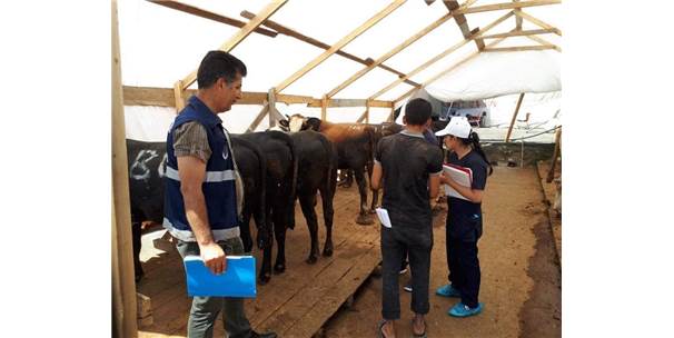 Ümraniye'de Kurban Pazarı Denetimleri Devam Ediyor